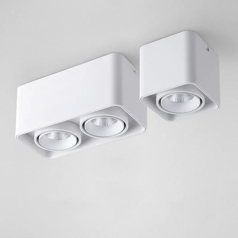 Verlina Downlight