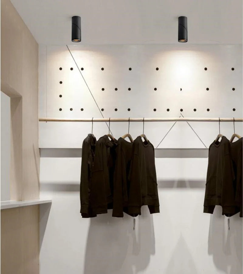 Luxen Downlights