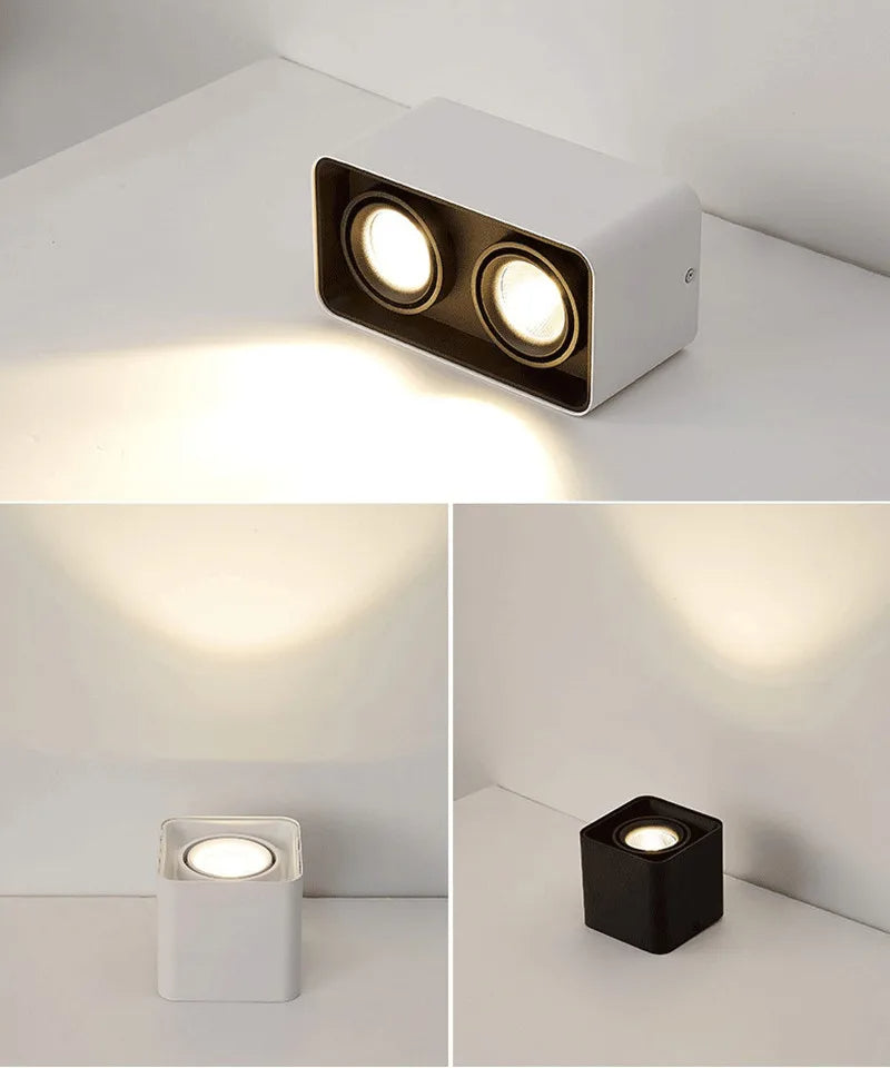 Verlina Downlight