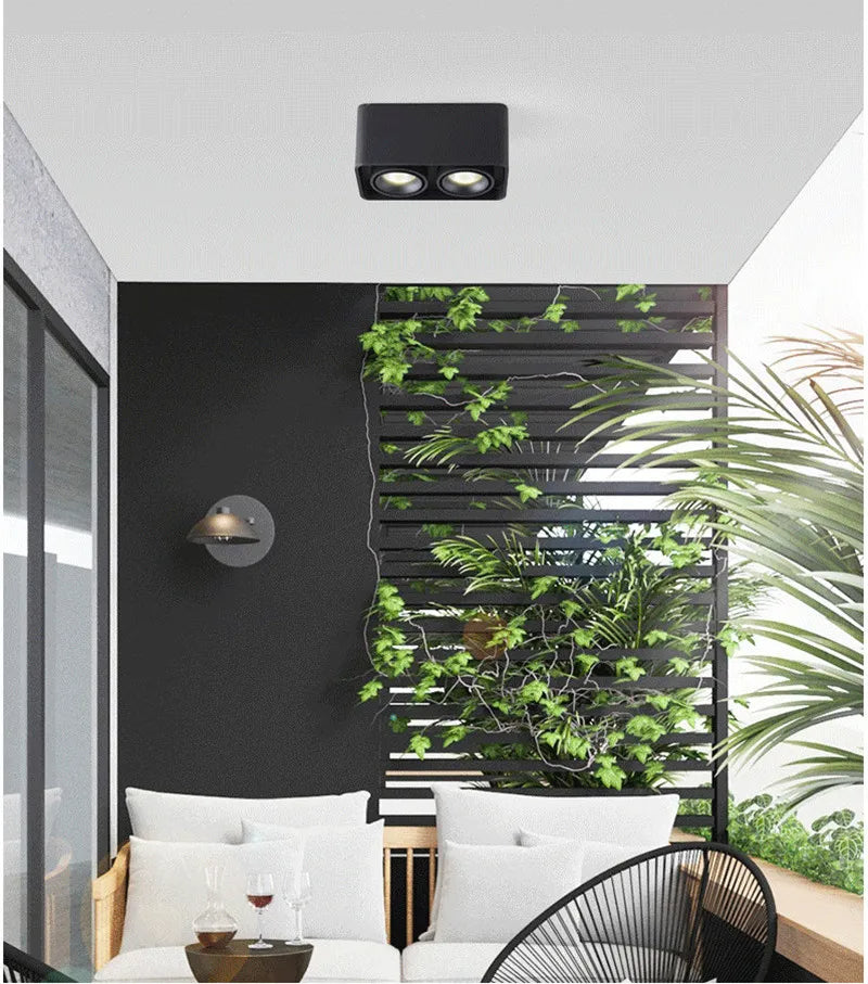 Verlina Downlight