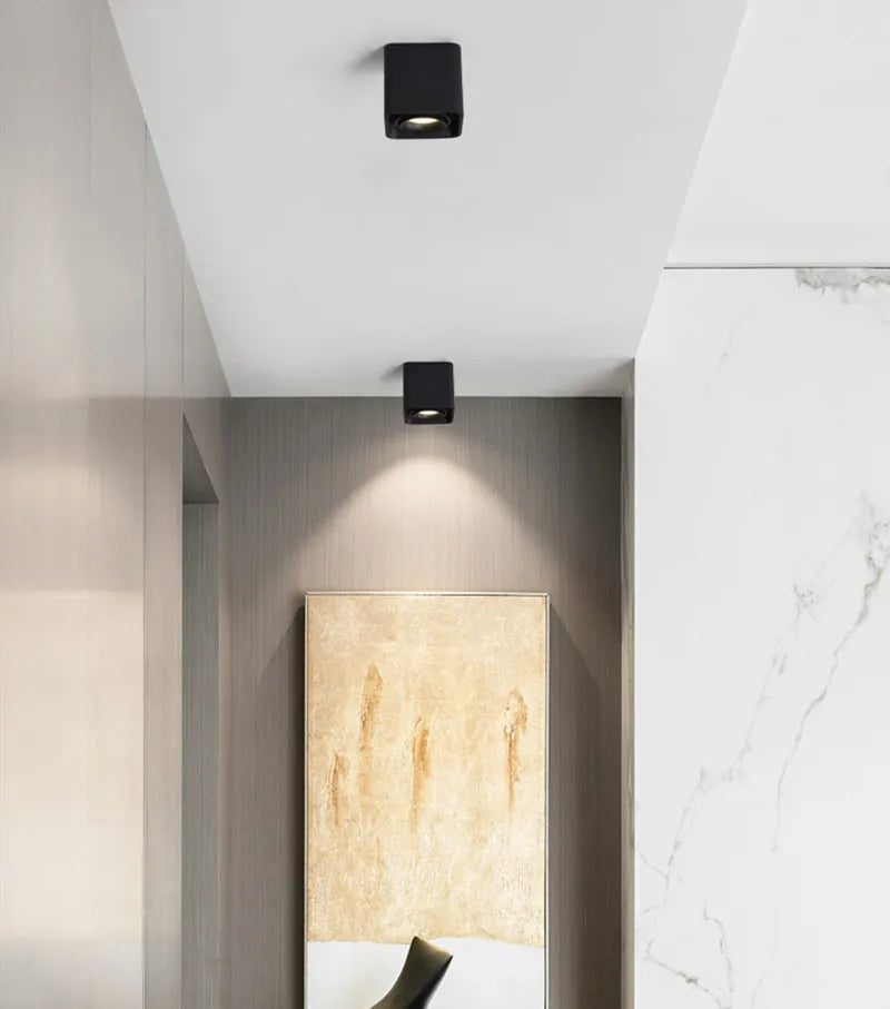 Verlina Downlight