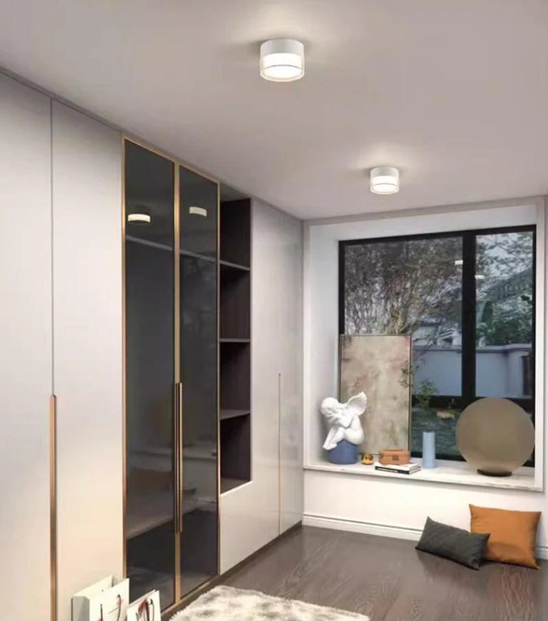Noa Downlight