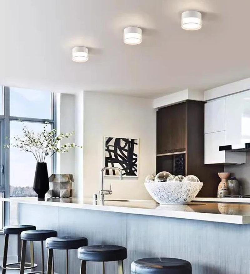 Noa Downlight