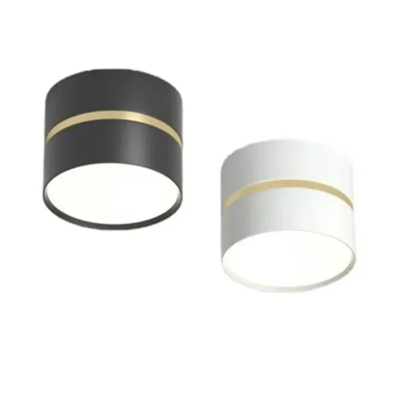 Ravea Downlights