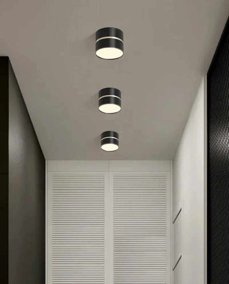 Ravea Downlights
