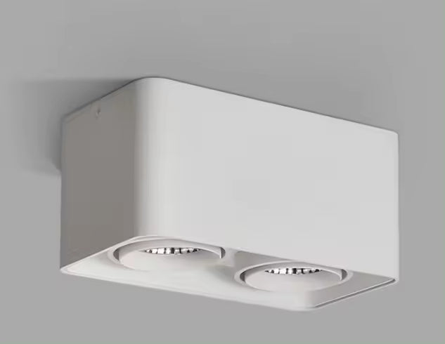 Verlina Downlight