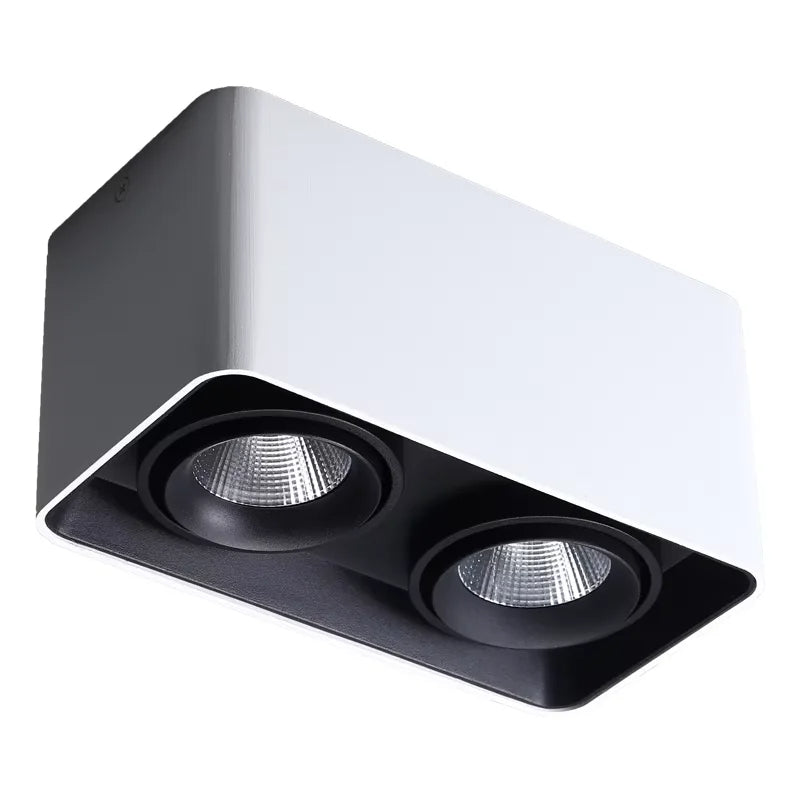 Verlina Downlight