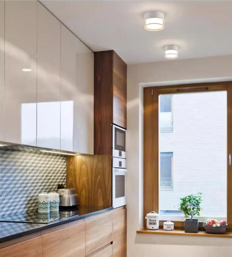Noa Downlight
