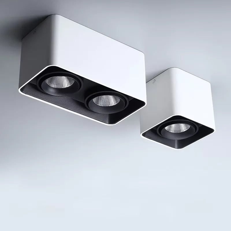 Verlina Downlight