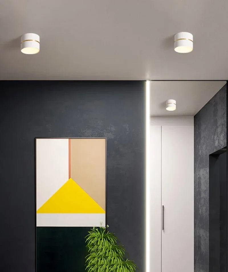 Ravea Downlights