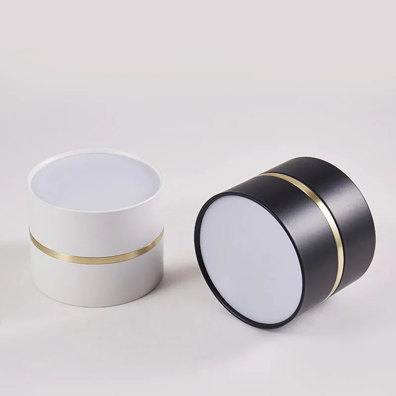 Ravea Downlights