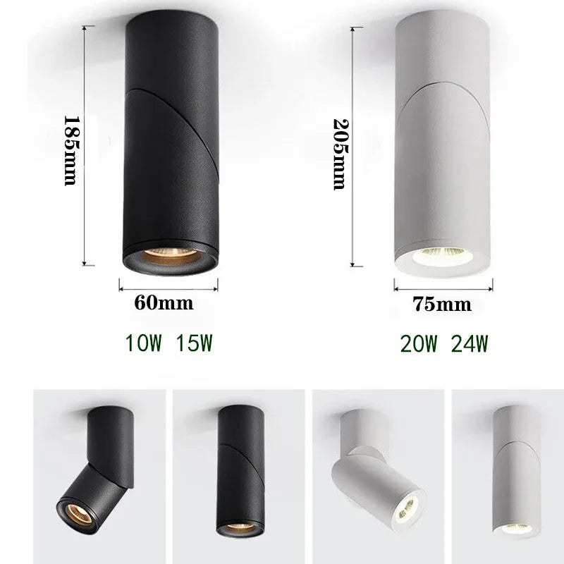 Luxen Downlights