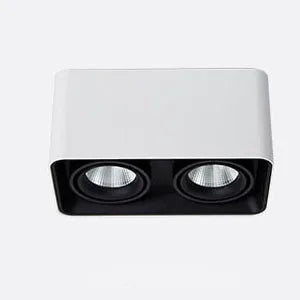 Verlina Downlight