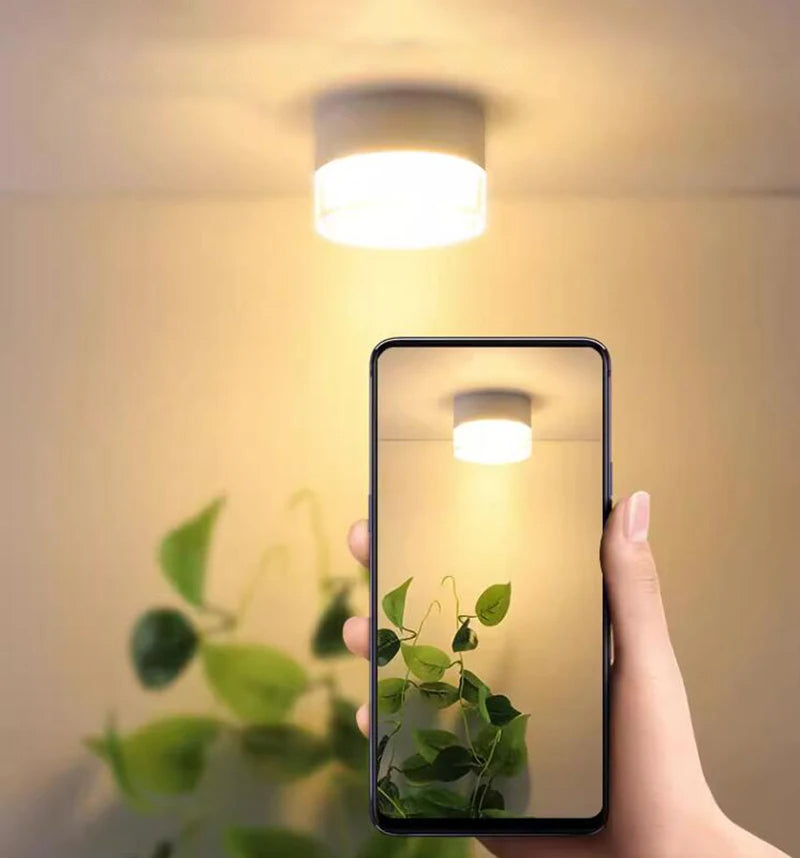 Noa Downlight