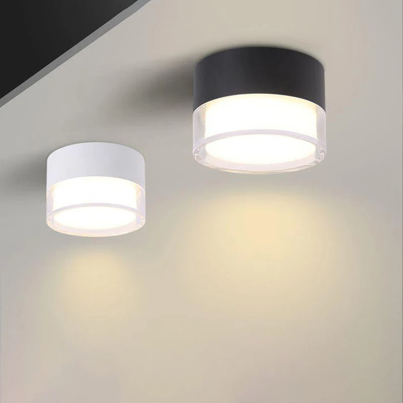 Noa Downlight