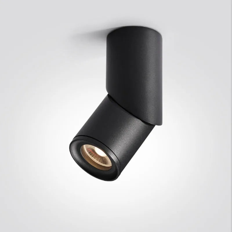 Luxen Downlights