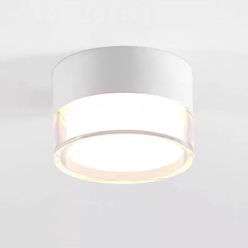 Noa Downlight