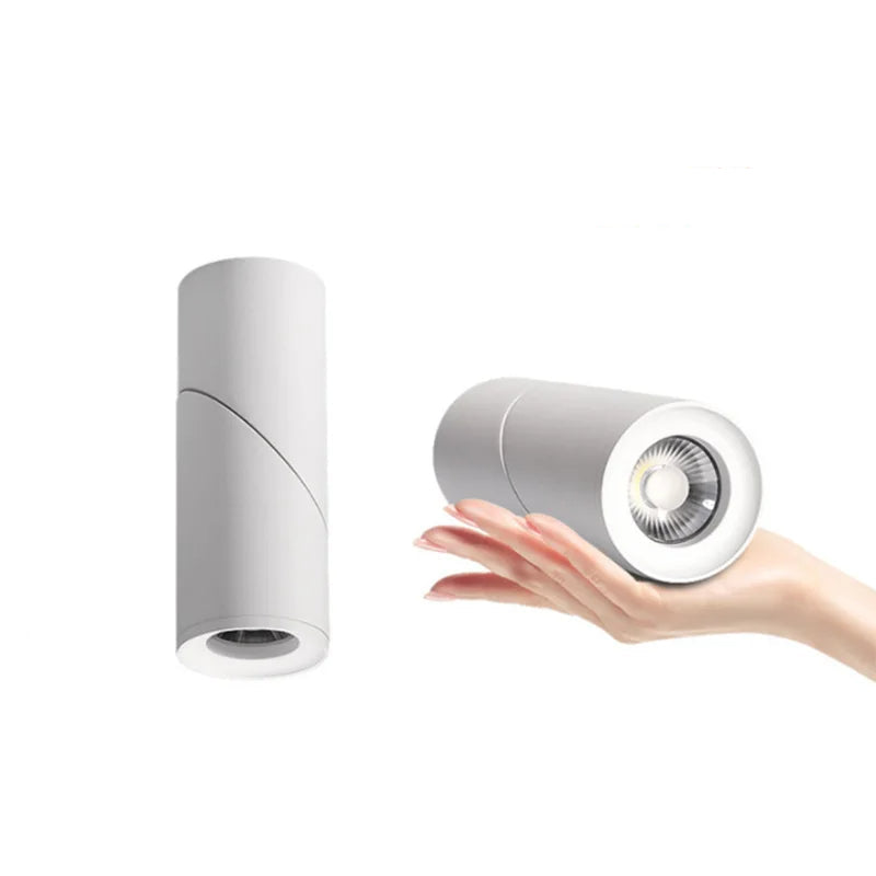 Luxen Downlights