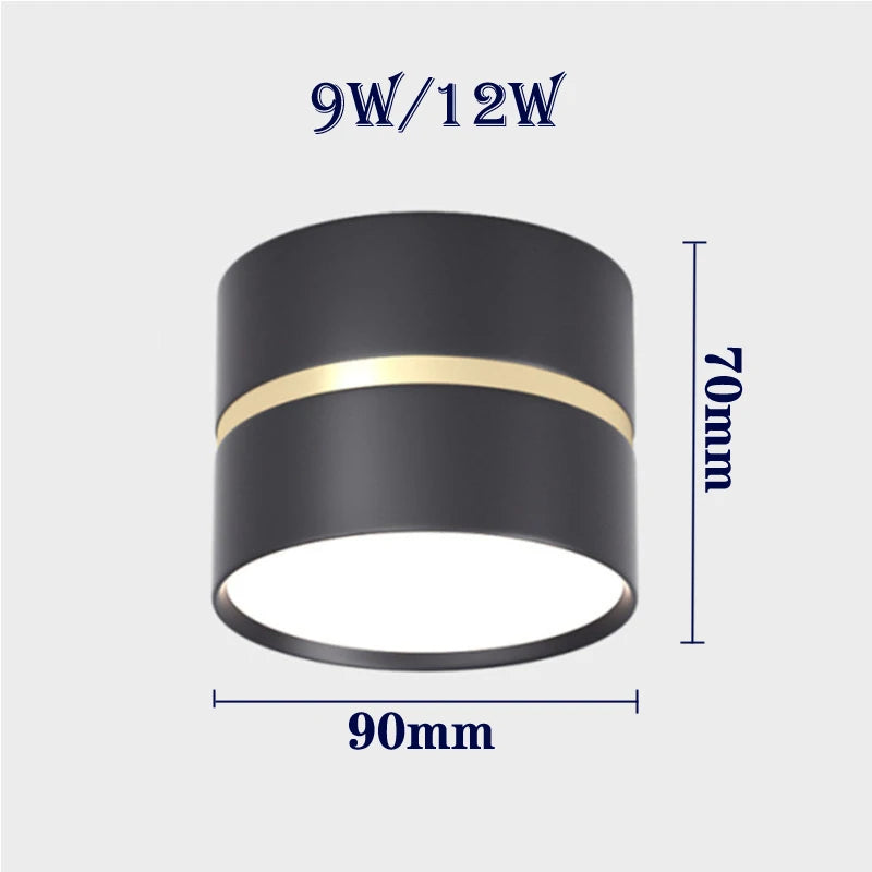 Ravea Downlights