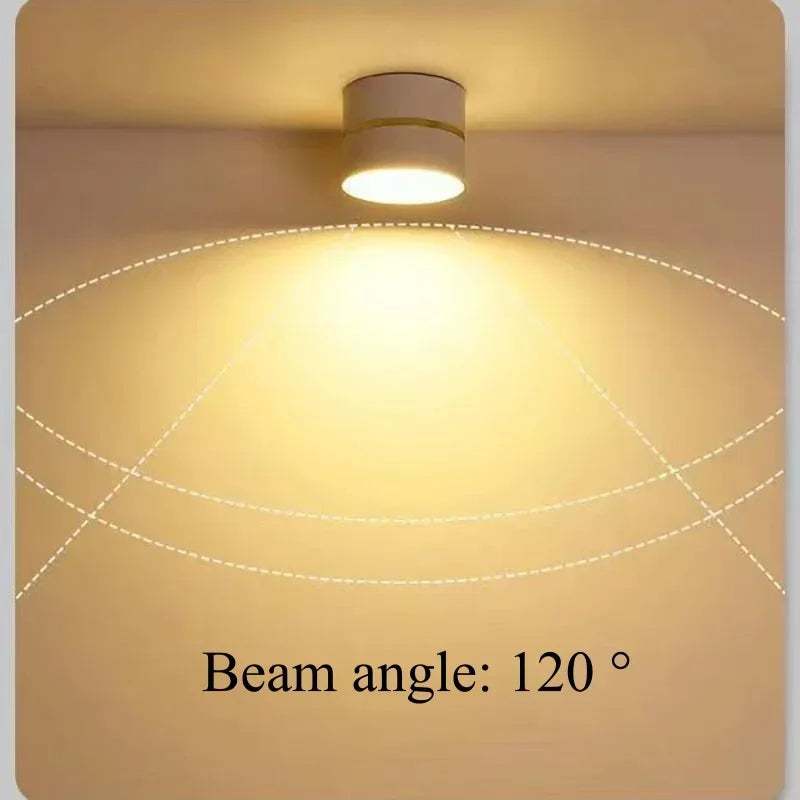 Ravea Downlights