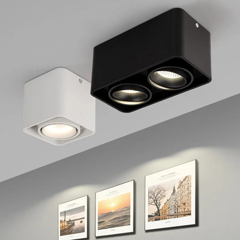 Verlina Downlight