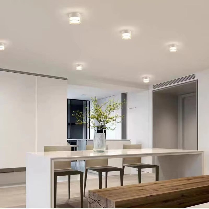 Noa Downlight
