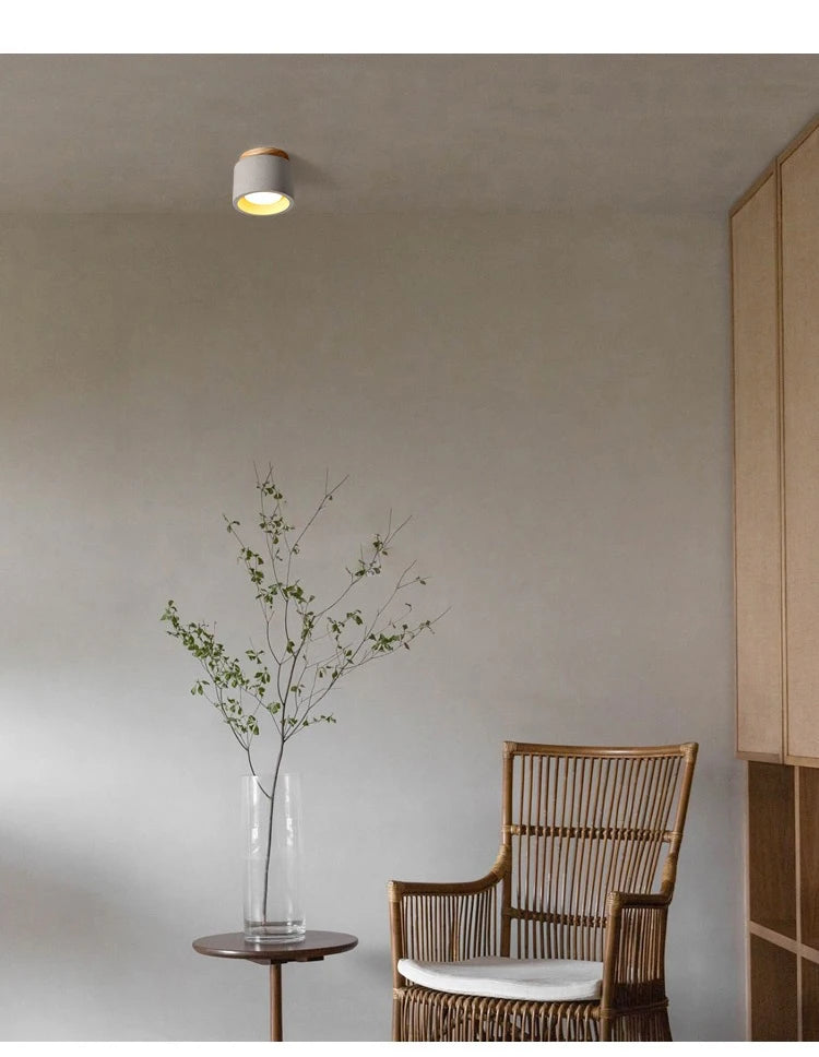 Tarin Wabi-Sabi Downlight