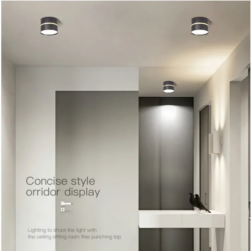 Ravea Downlights