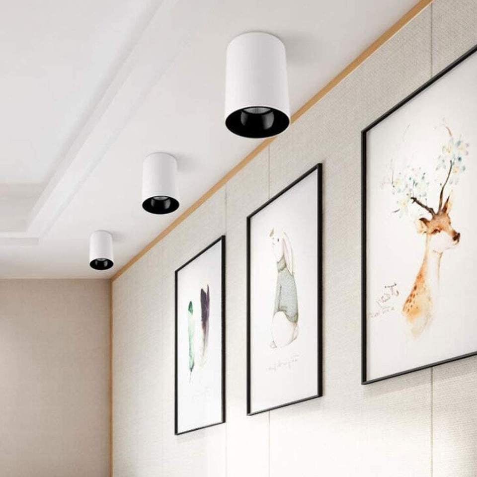Nekteck Downlight
