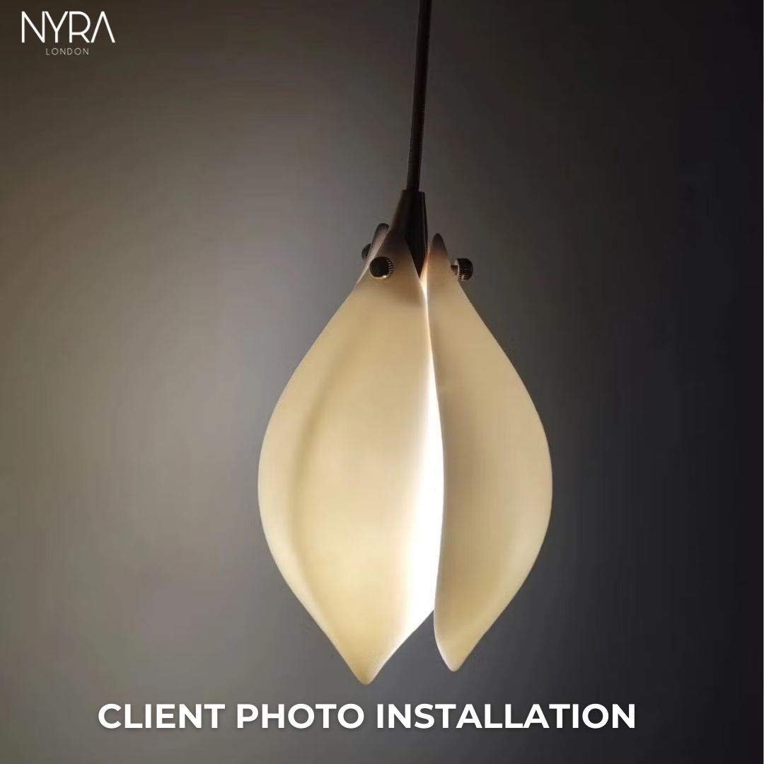Clara Chandelier