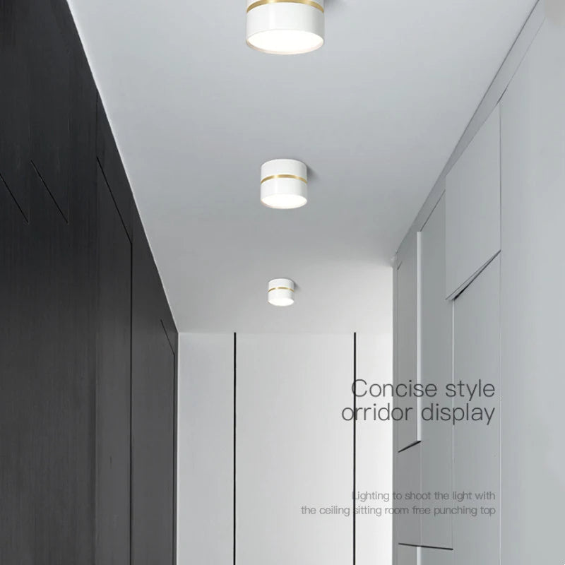 Ravea Downlights