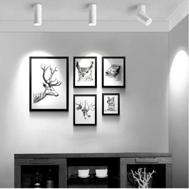 Luxen Downlights