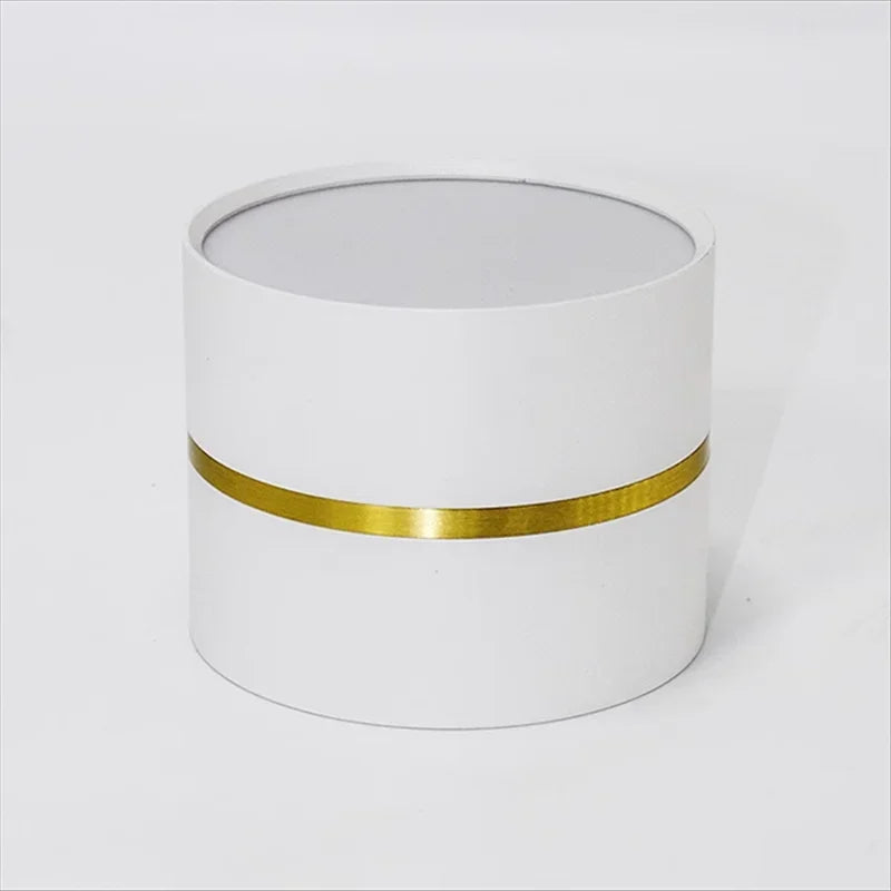 Ravea Downlights