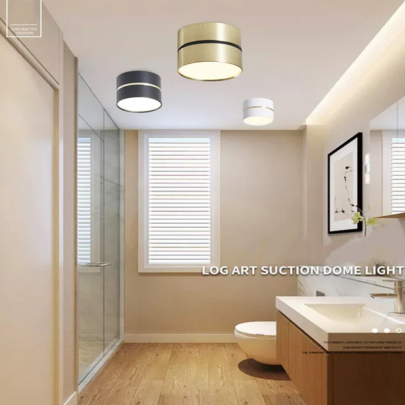 Ravea Downlights