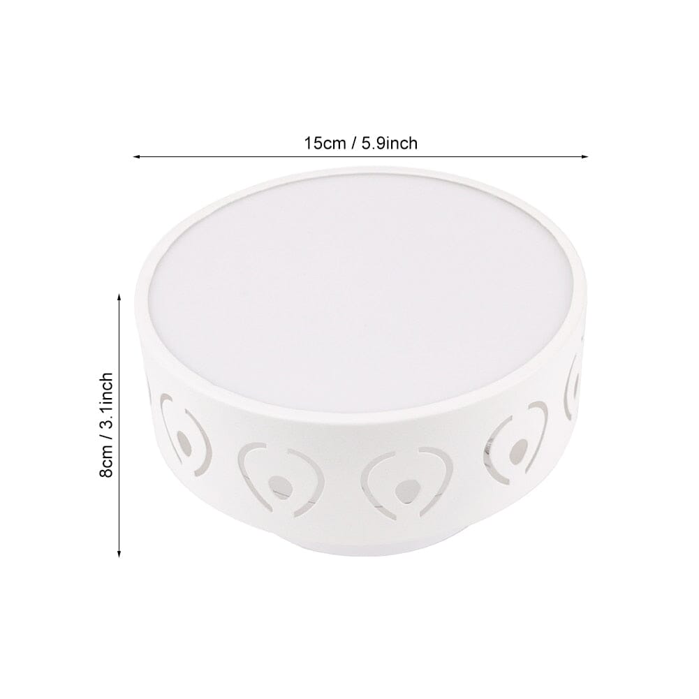Round Modern Surface Mount Ceiling Lamps