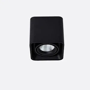 Verlina Downlight