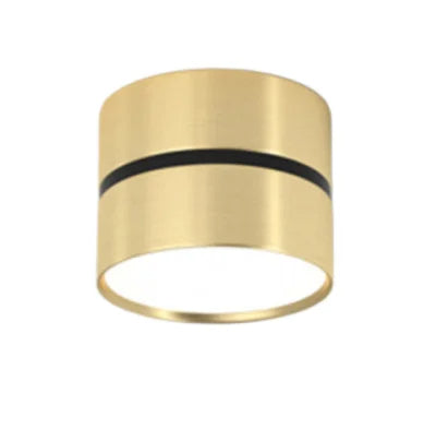 Ravea Downlights