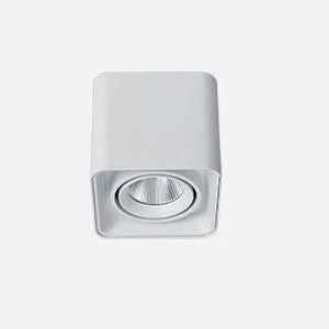 Verlina Downlight