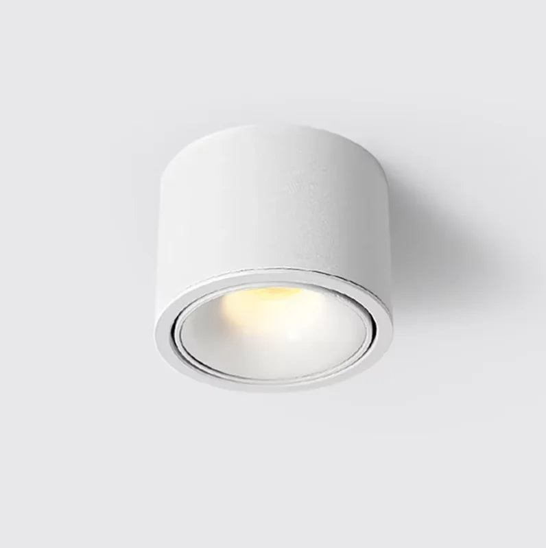 Janora Spotlight