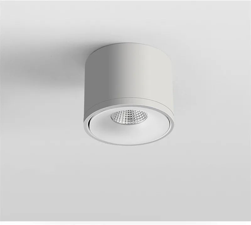 Janora Spotlight