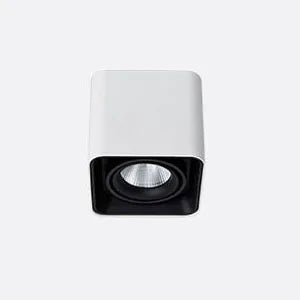 Verlina Downlight