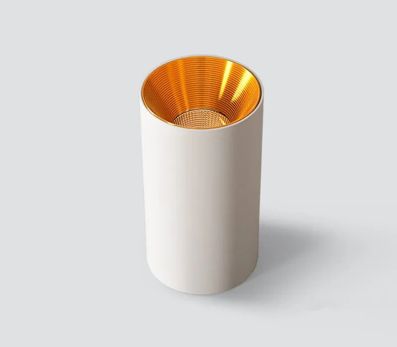 Nekteck Downlight
