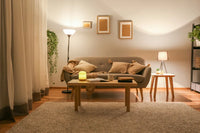 The Complete Guide to Choosing a Reading Lamp
