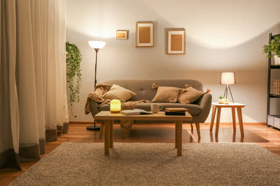 The Complete Guide to Choosing a Reading Lamp