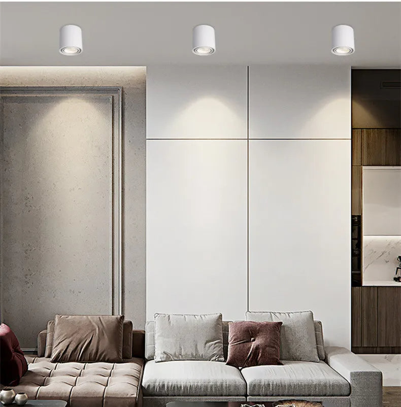 Avara Downlight