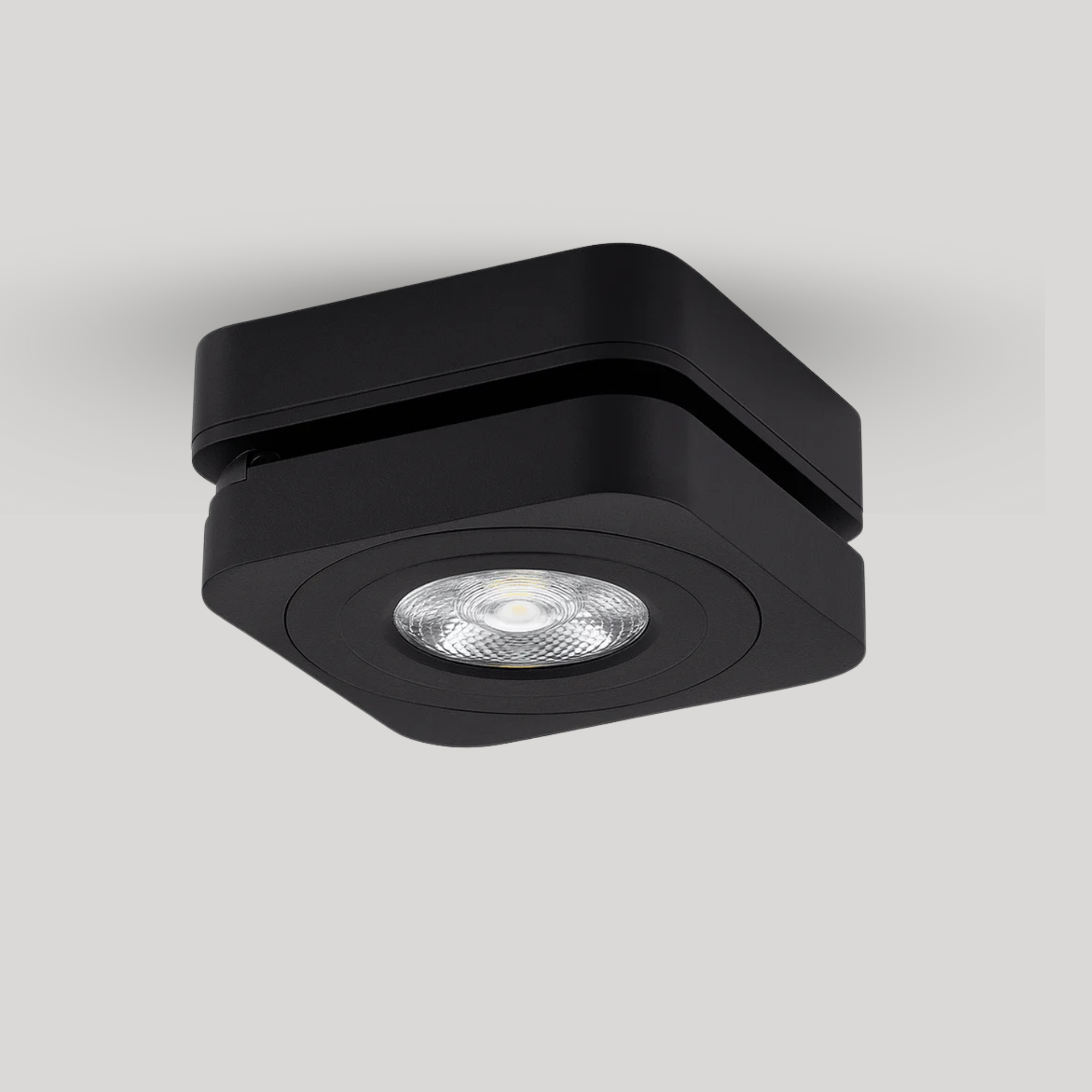 Tressa Downlight