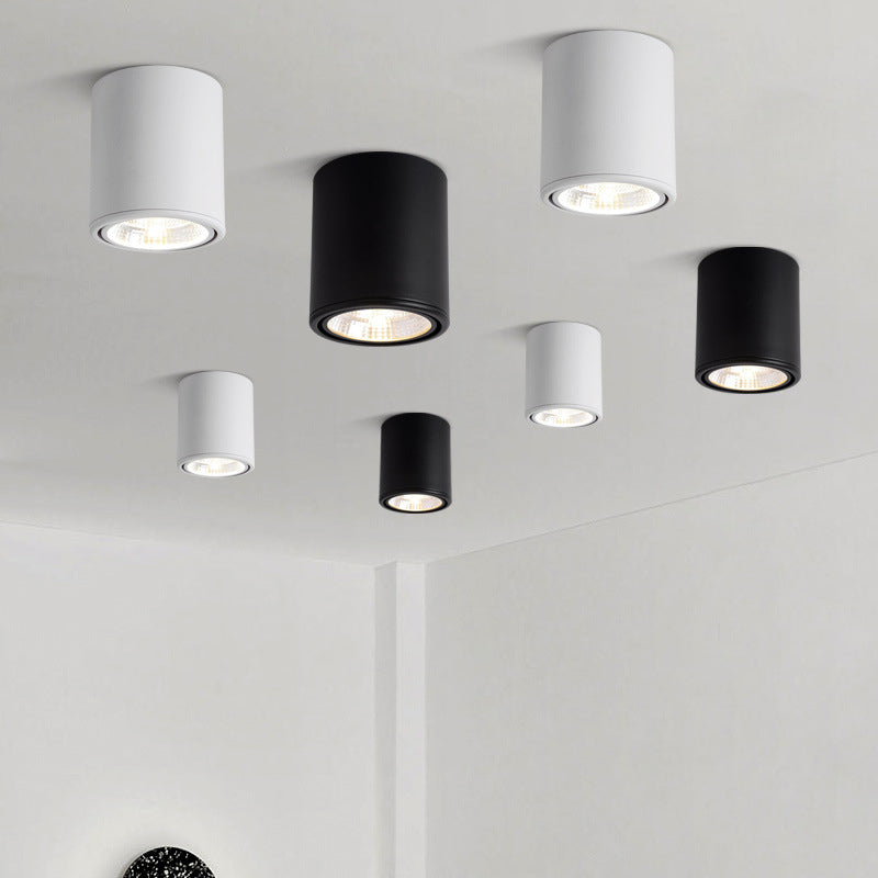 Avara Downlight