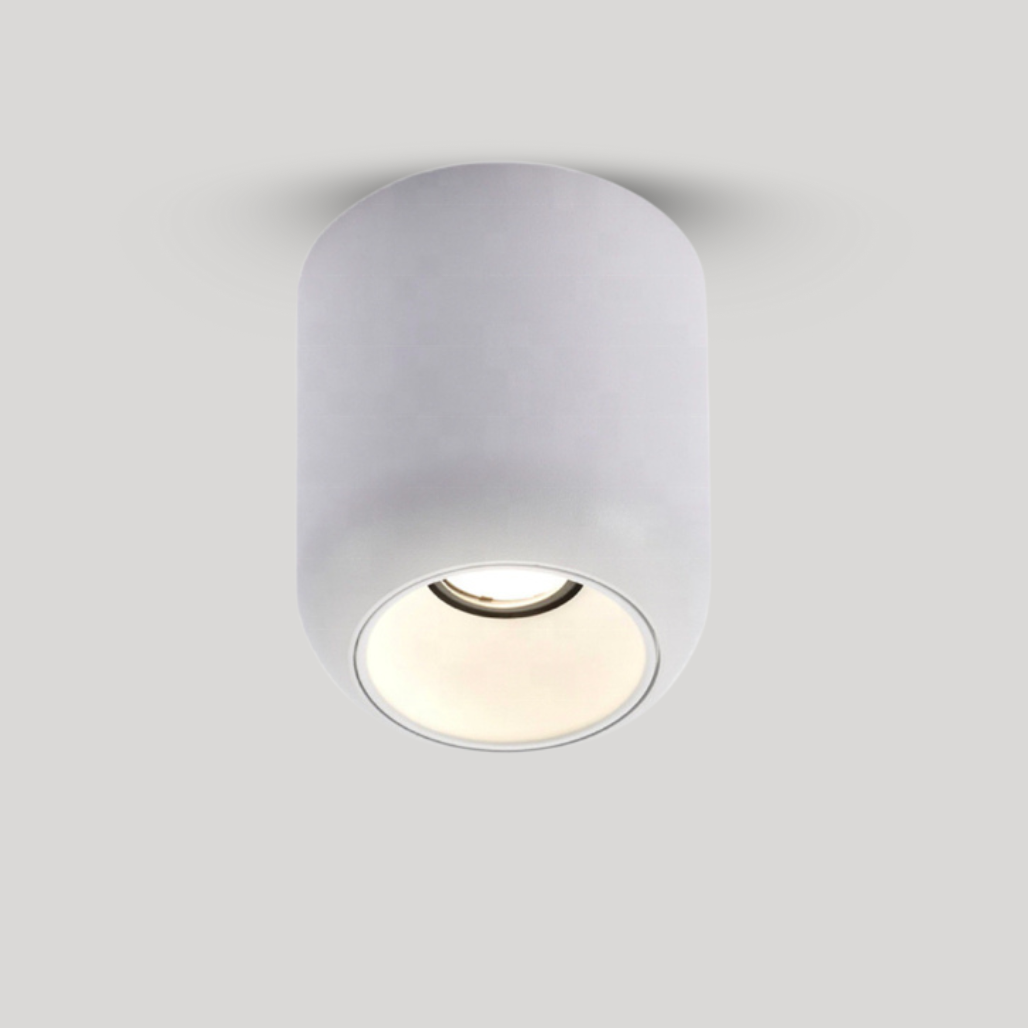 Rosavel Spotlight