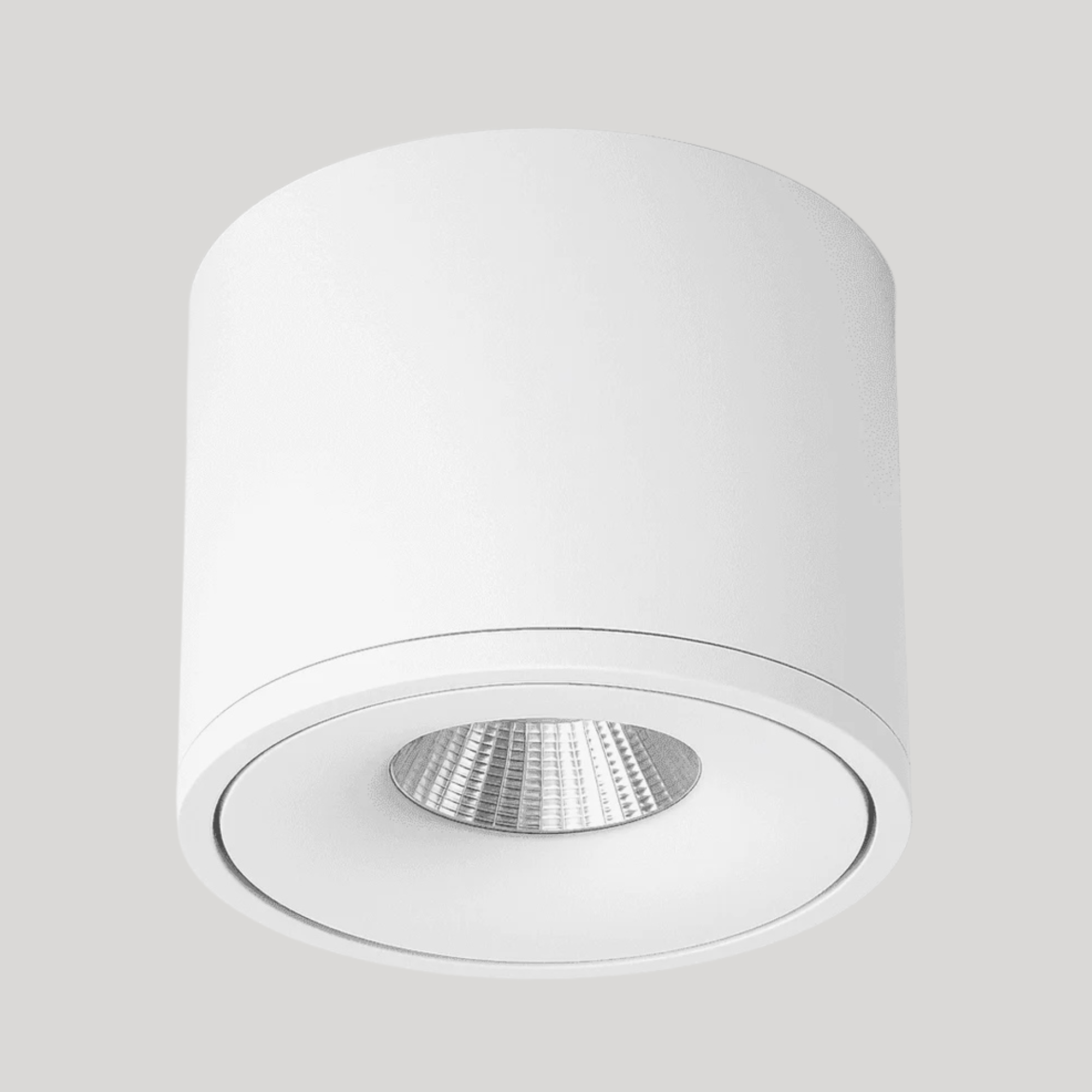 Janora Spotlight