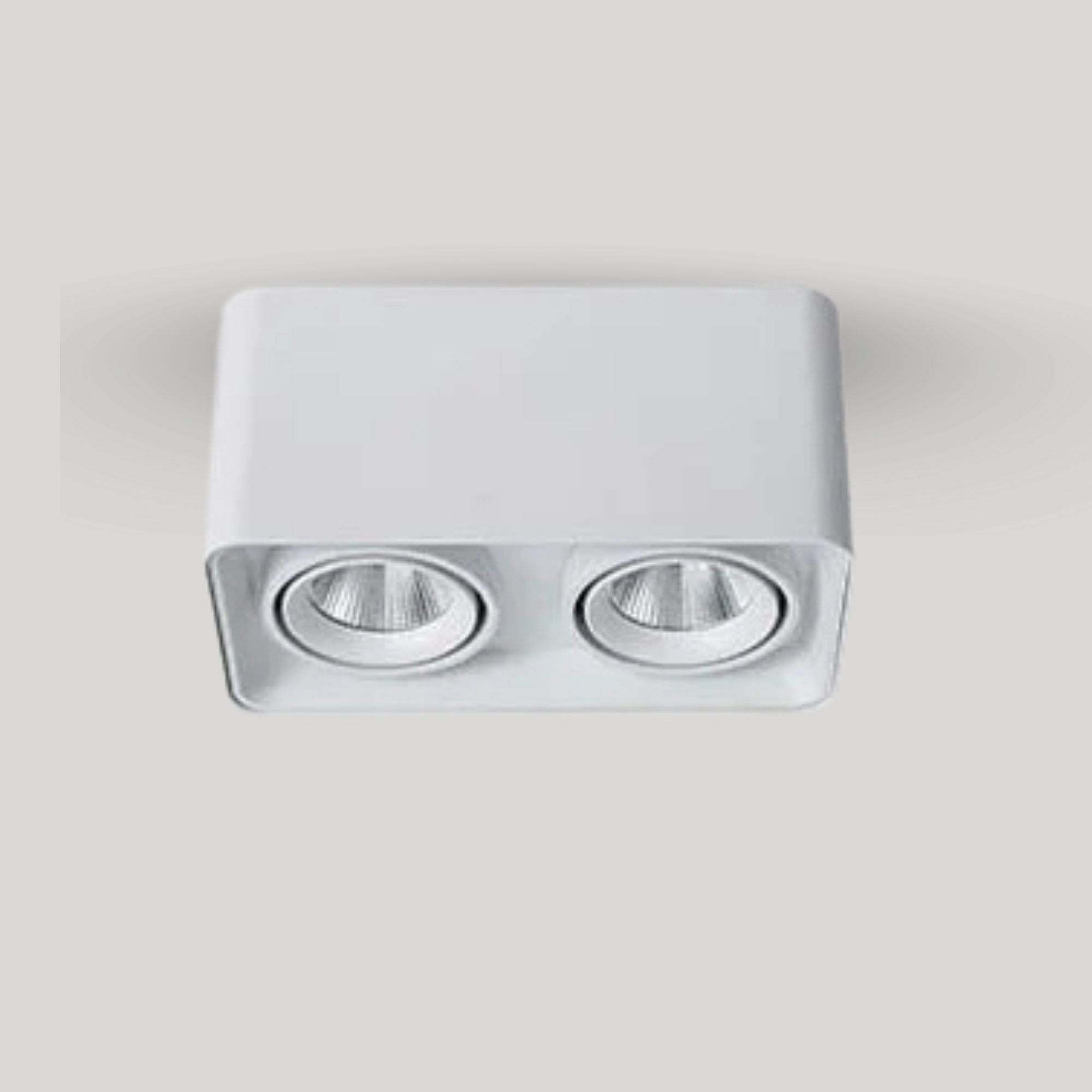 Verlina Downlight